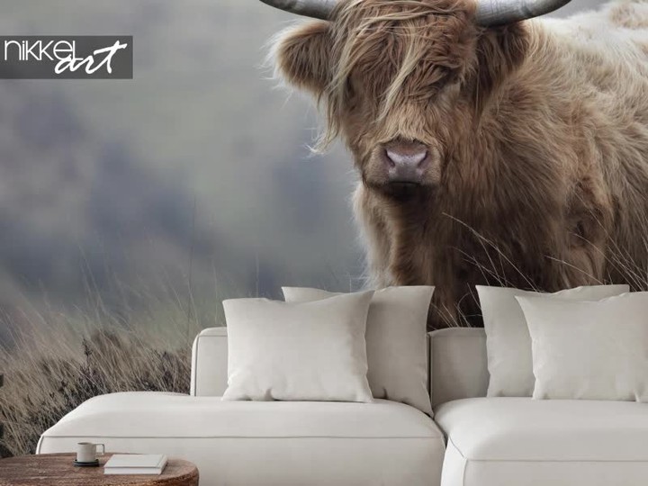 Hoe maak je van een doorsnee muur een opvallende, landelijke eyecatcher? Fotobehang! โจ
Doordat dit fotobehang veel diepte bevat, lijkt de kamer waarin je het toepast ook nog eens onmiddellijk een stuk groter. Wat wil je nog meer?
Fotobehang Schotse Hooglander 400 x 280 cm | โฌ 223,70 | Ook verkrijgbaar op maat van jouw muren | Bestel hier:
______________
๐ง๐ช https://www.nikkel-art.be/fslZZIB4bTWmA
๐ณ๐ฑhttps://www.nikkel-art.nl/fslaCPzlmV6nr