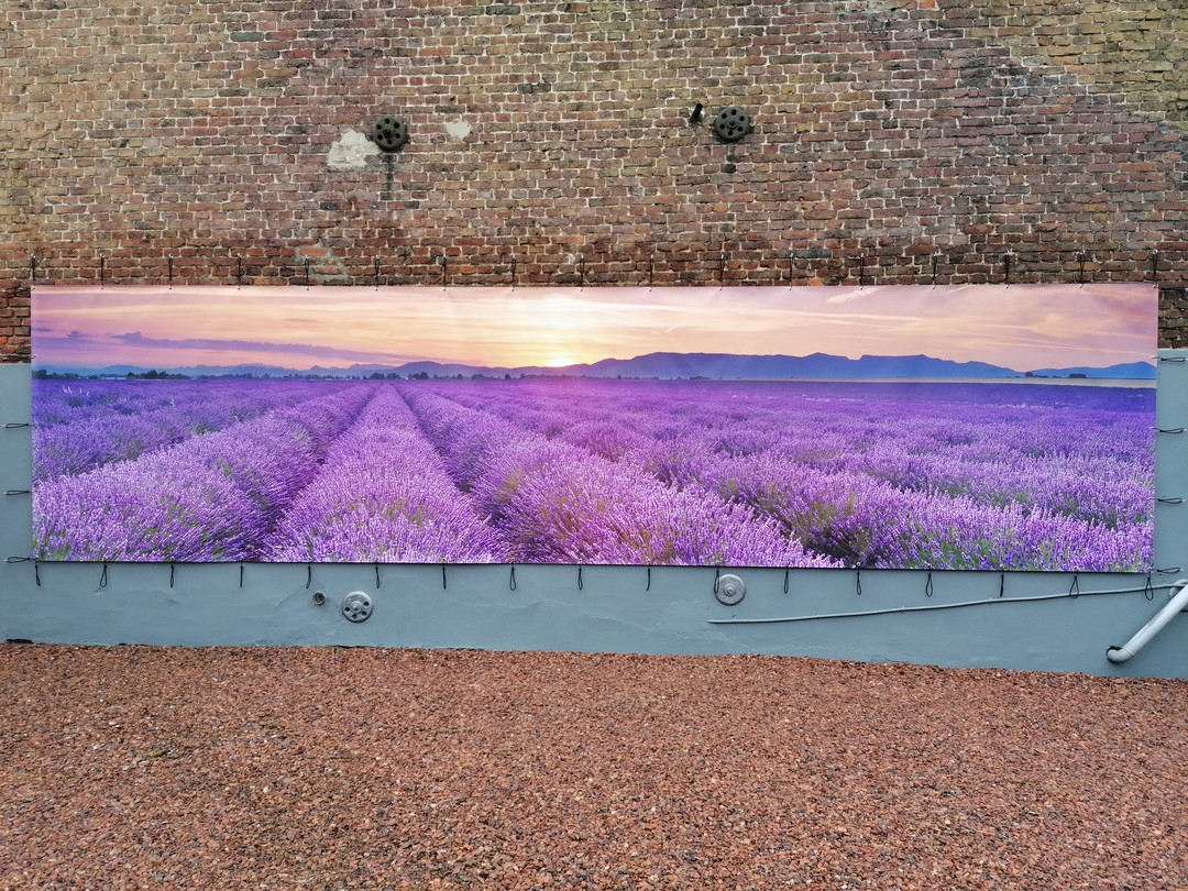 Wil je je buitenmuur opfleuren? Deze tuinposter tovert iedere buitenmuur om tot een prachtige kleurrijke blikvanger!
Bestel deze en nog vele andere tuinposters in de afmetingen die jij wenst, van mini tot XXL!
๐
https://www.nikkel-art.be/fslRcURICE5jj
#nikkelart #tuinposter #tuininspiratie #lavendel #poster #gardening #gardendecoration