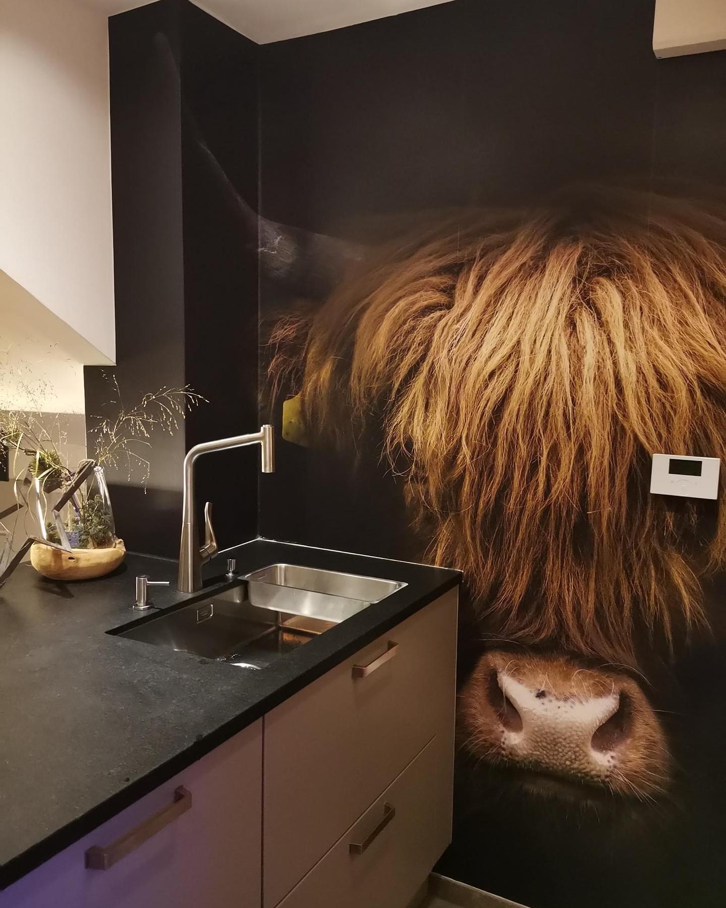Wall murals Highland Cow in the kitchen. #nikkelart