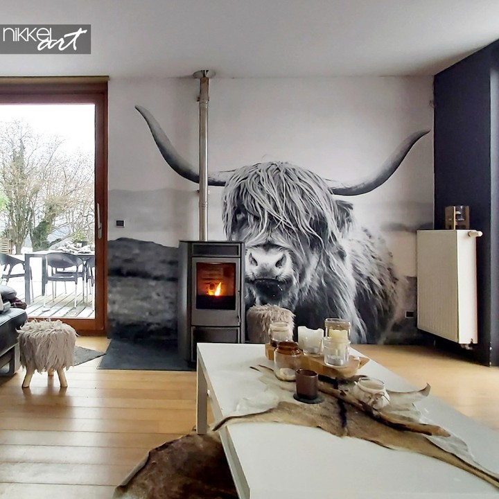 Fotobehang Schotse hooglander
#nikkelart